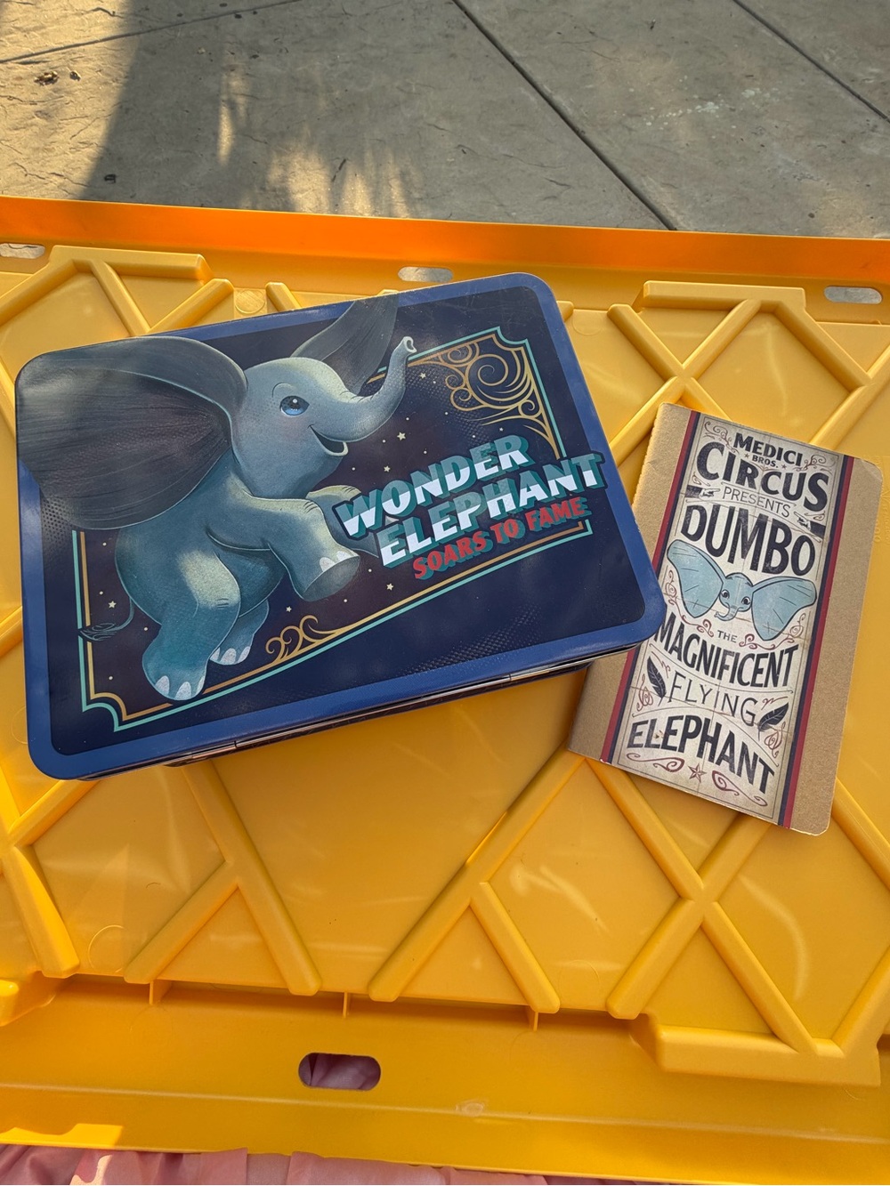 Disney Dumbo Lunchbox and Medici circus moleskine notebook